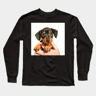 Pinscher puppy in hand Long Sleeve T-Shirt